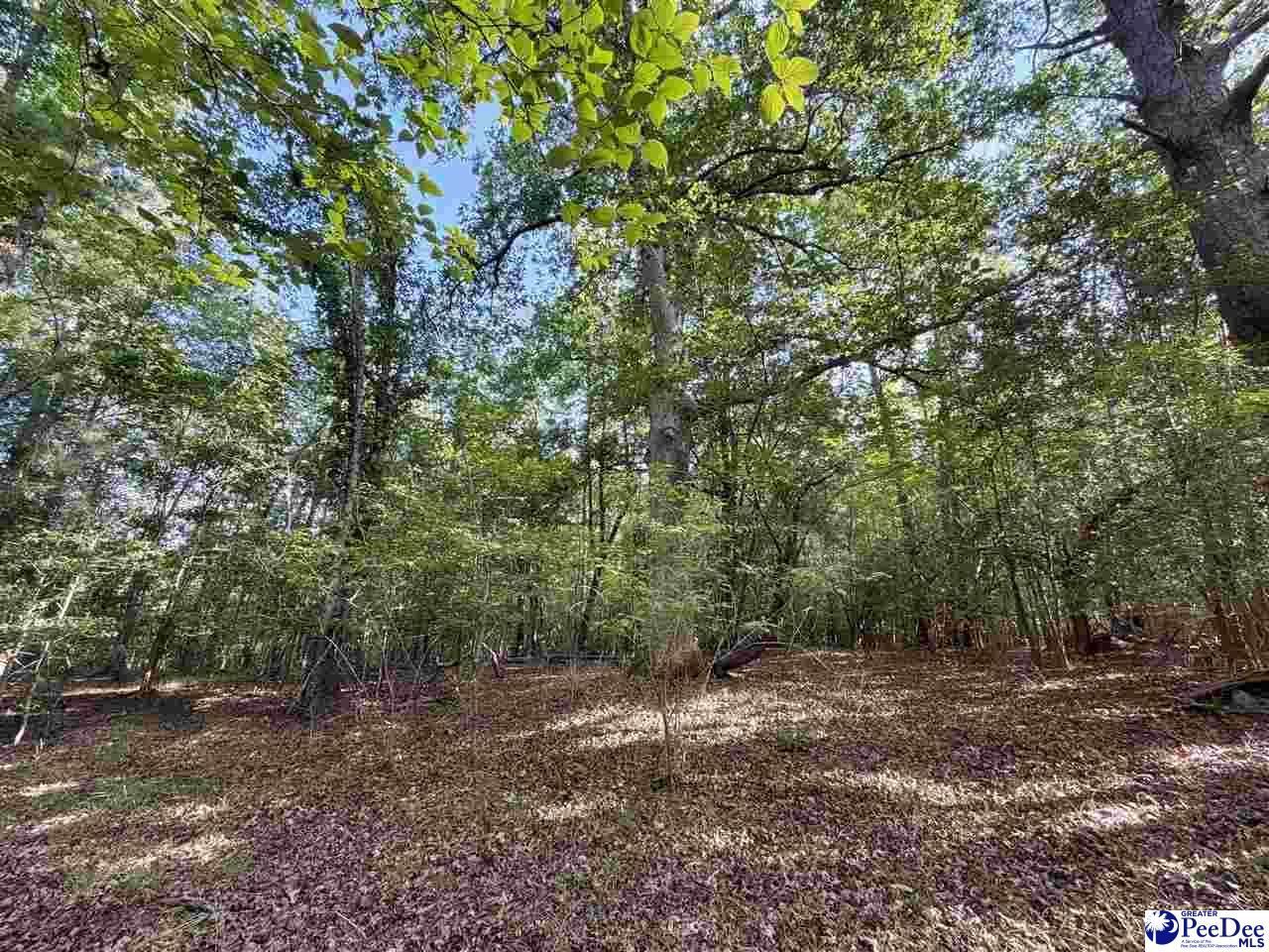 1020 Scotch Road Photo 36