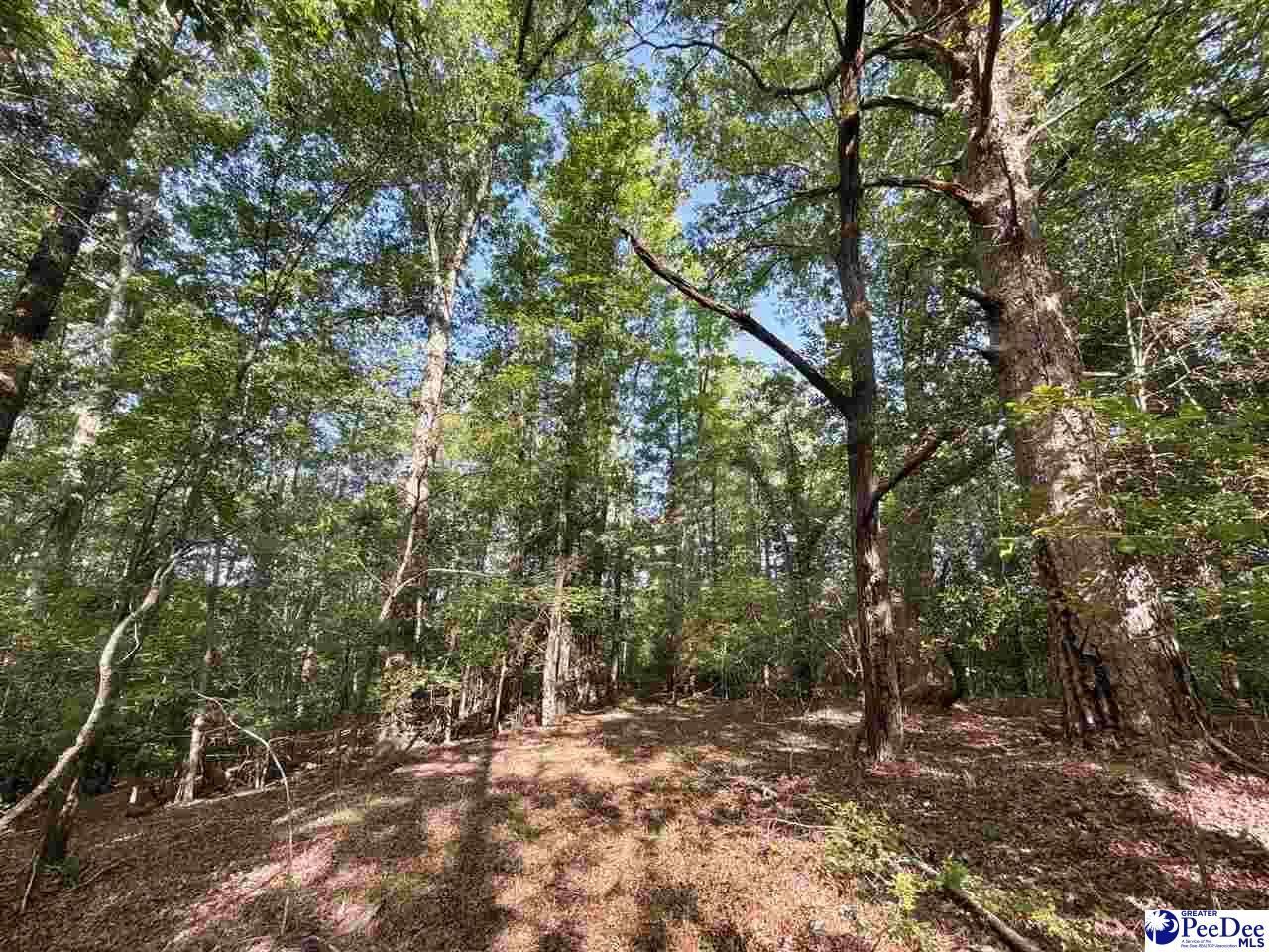 1020 Scotch Road Photo 37