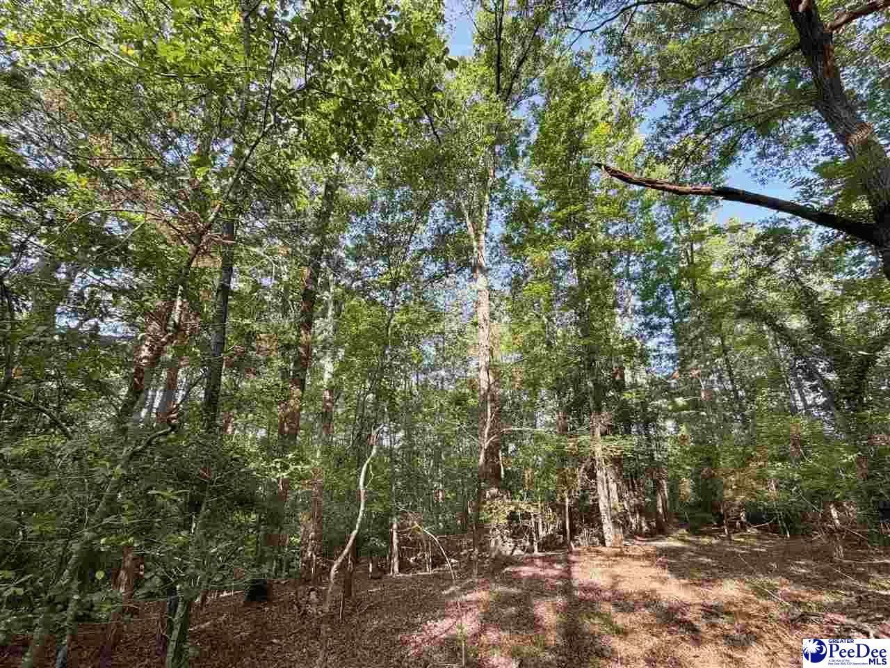 1020 Scotch Road Photo 38