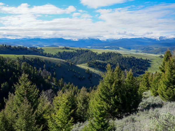 Running J Ranch , Philipsburg, MT 59858