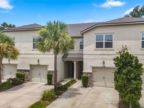 14140 DAMSELFLY DRIVE , TAMPA, FL 33625
