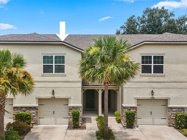 14140 DAMSELFLY DRIVE , TAMPA, FL 33625