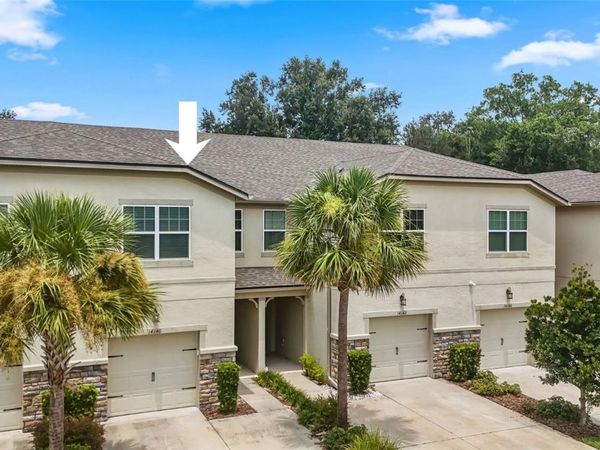 14140 DAMSELFLY DRIVE, TAMPA, FL 33625