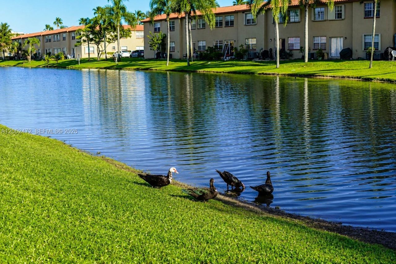 8630 SW 3rd St, Unit 101, Pembroke Pines, FL 33025 Photo