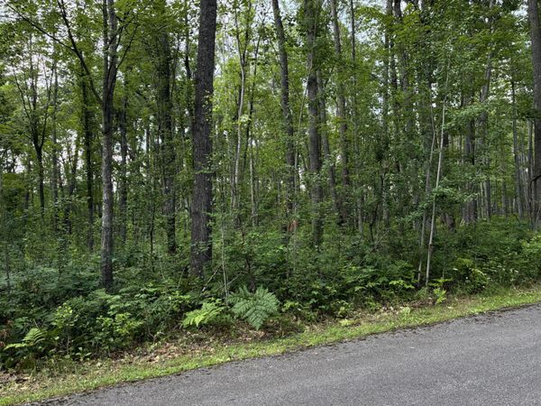 522 Red Pine Court, Lewiston, MI 49756