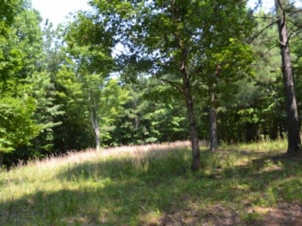 0 Topside Dr , Unit 50, Spencer, TN 38585