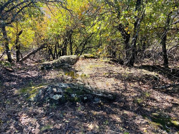 Lot 457 Lakeside Drive, Bowie, TX 76230