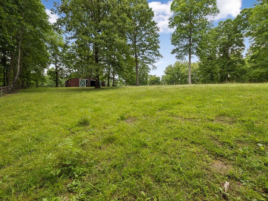 Property Image 80