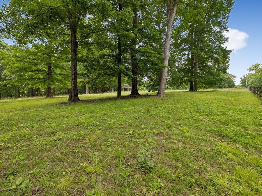 Property Image 81
