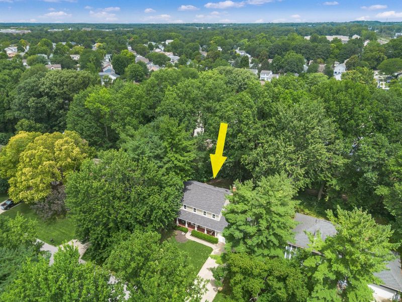 366 Bailey Place, Columbus, OH 43235 Photo 5