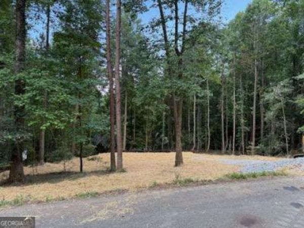 LOT 195 Shenendoa Drive, Unit 195, Ellijay, GA 30540