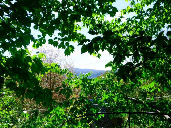 2-42 Coopers Trace, Unit 2-42, Plymouth, VT 05056