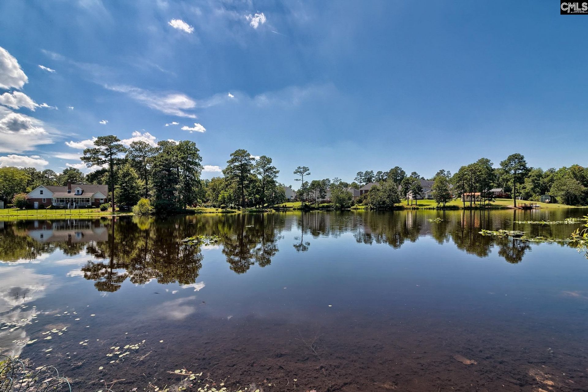 201 Sandy Lake Road Photo 53