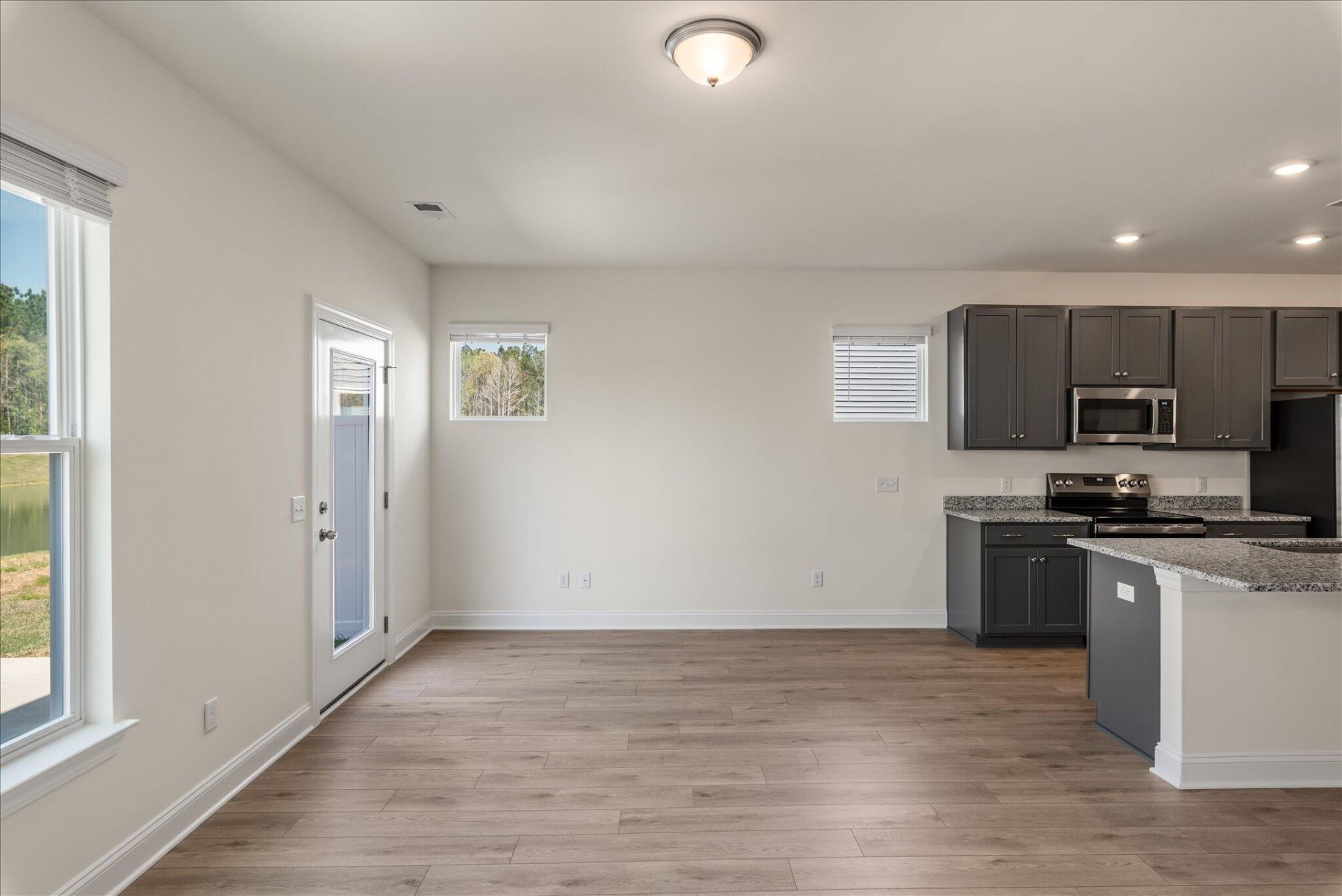 401 Painted Lady Lane Photo 11