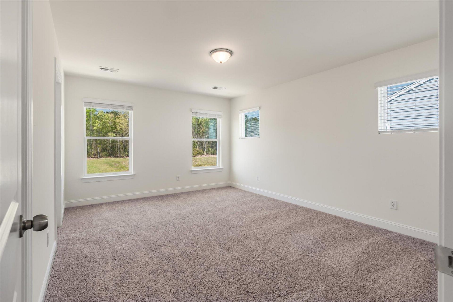 401 Painted Lady Lane Photo 18