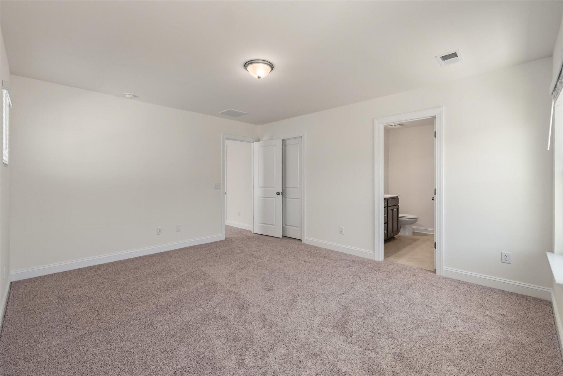 401 Painted Lady Lane Photo 19
