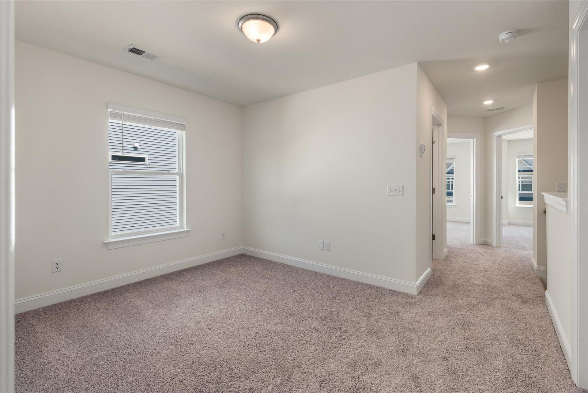 401 Painted Lady Lane Photo 23