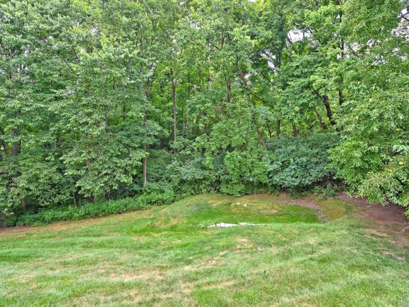 3307 Brinton Trail, Evendale, OH 45241 Photo 72