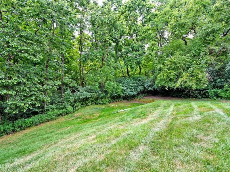 3307 Brinton Trail, Evendale, OH 45241 Photo 75
