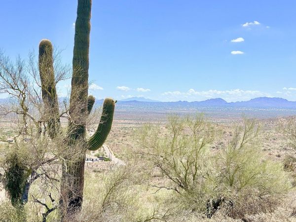 517 E OLD WEST Way, Unit -, Phoenix, AZ 85085