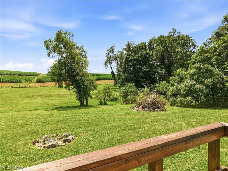 31991 Haessly Road, Hanoverton, OH 44423 Photo 24