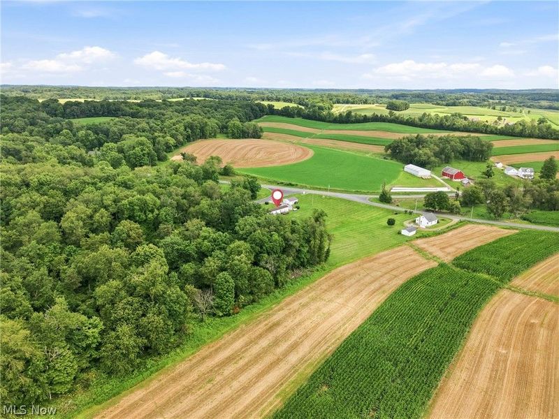 31991 Haessly Road, Hanoverton, OH 44423 Photo 28