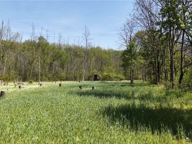 35620 Egypt North Road, Barnesville, OH 43713 Photo 7