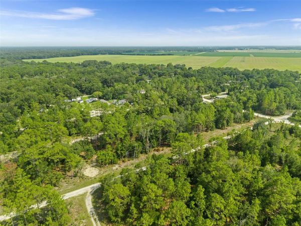 NE 156TH CT, WILLISTON, FL 32696