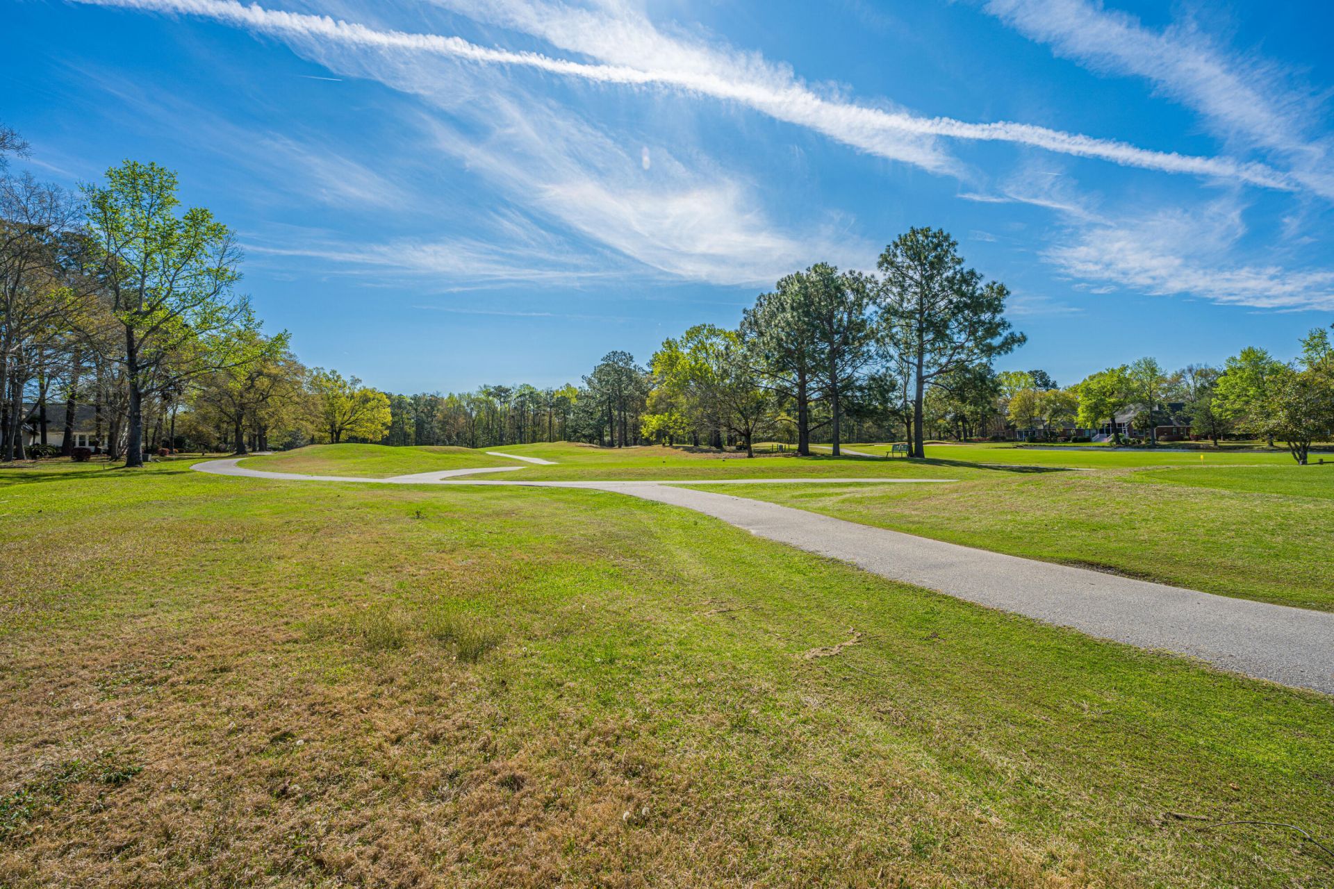 106 Irish Oak Drive Photo 39