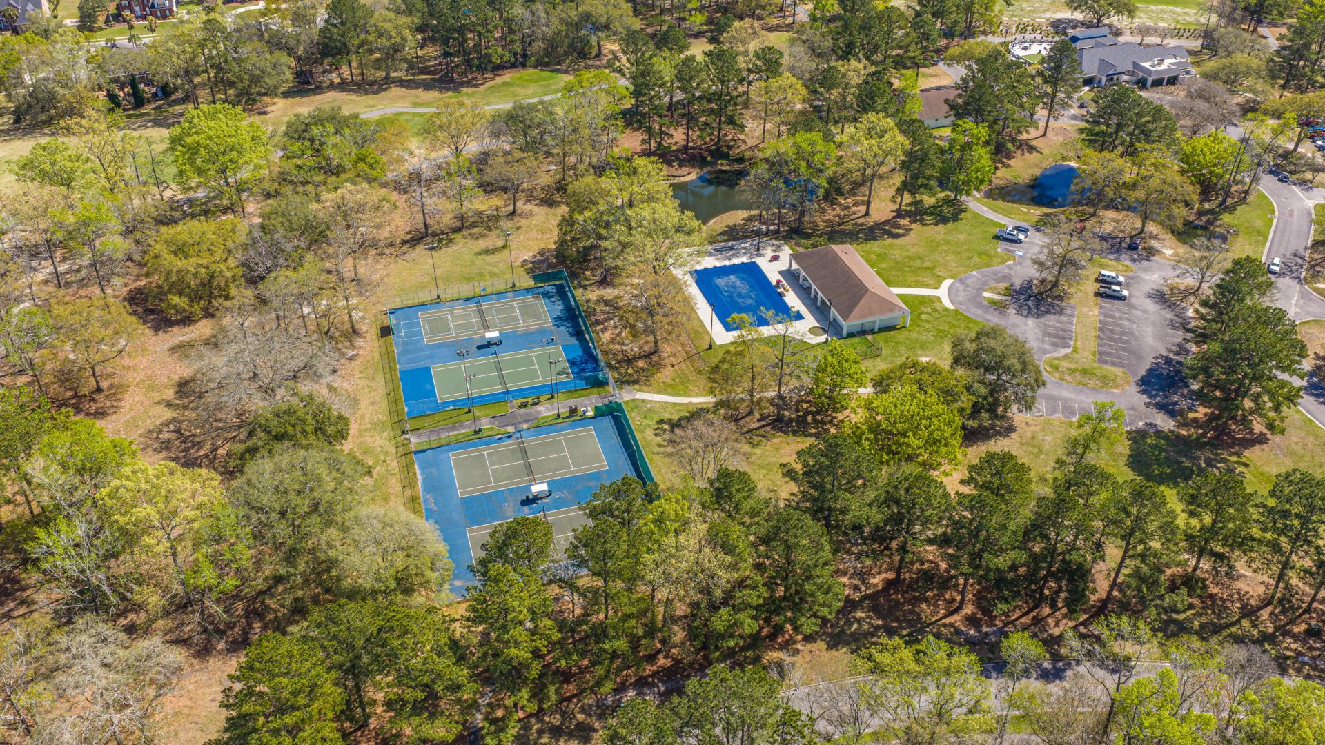 106 Irish Oak Drive Photo 45