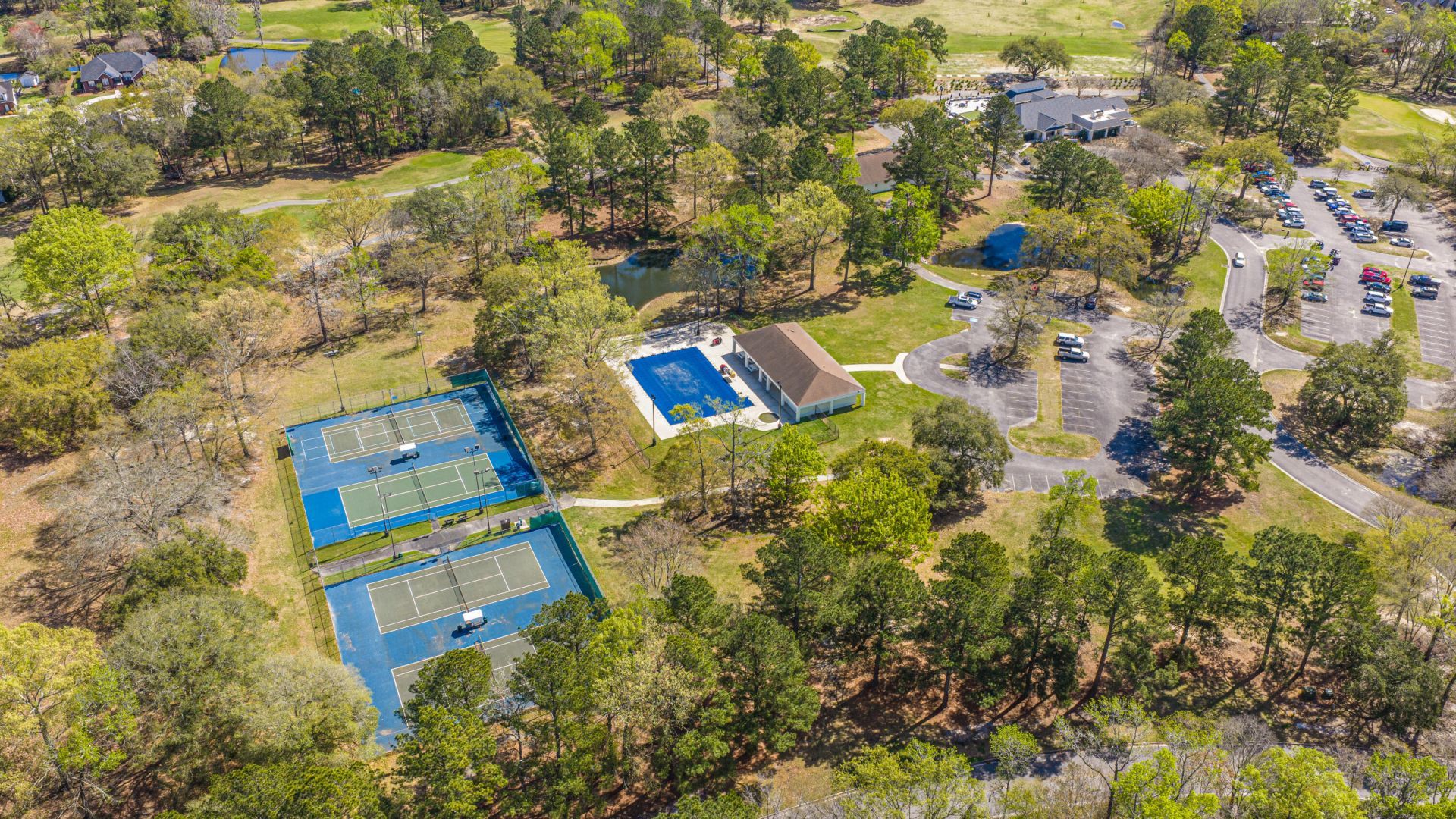 106 Irish Oak Drive Photo 46