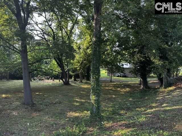 933 Gilder Street  Photo 28