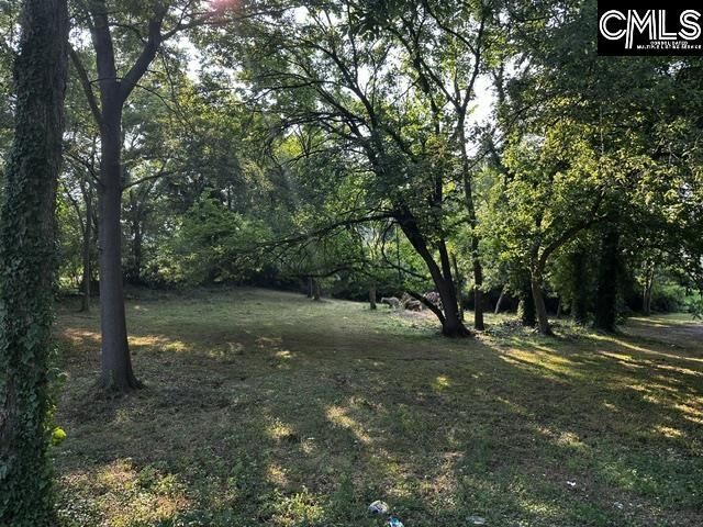 933 Gilder Street  Photo 30