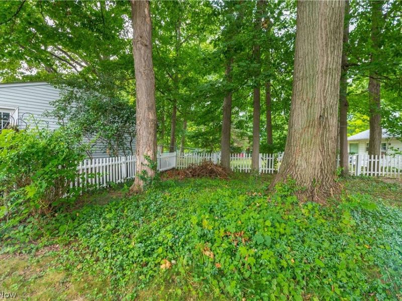 2348 Buena Vista Drive , Wickliffe, OH 44092 Photo 47