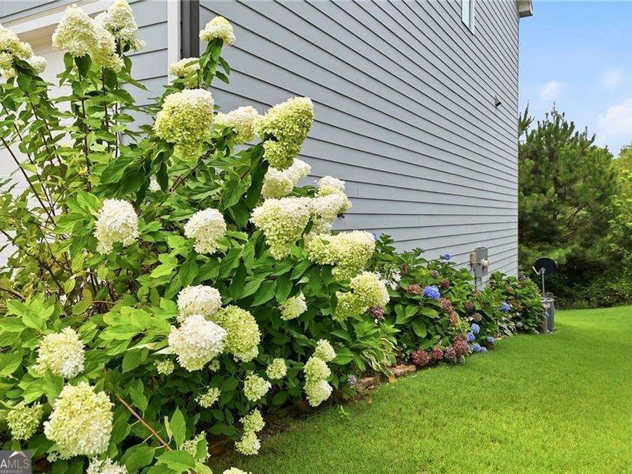 Property Image 54