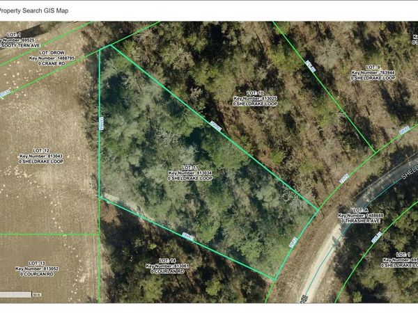 16139 SHELDRAKE LOOP , WEEKI WACHEE, FL 34614