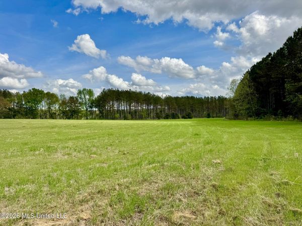 00875 Stump Bridge Road, Canton, MS 39046