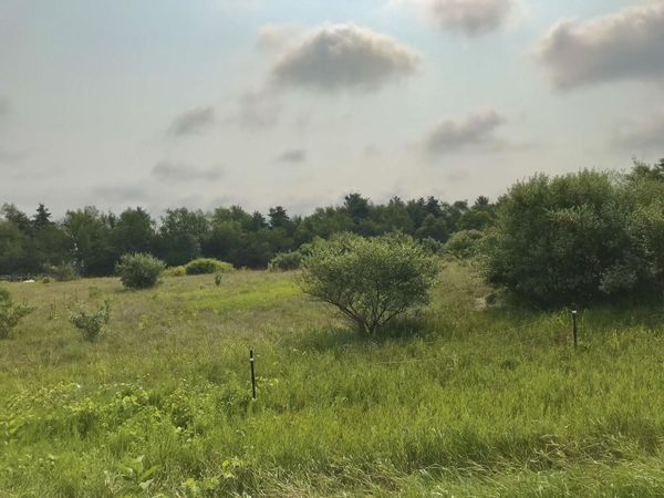 Lot G Buckhorn Road, Three Rivers, MI 49093