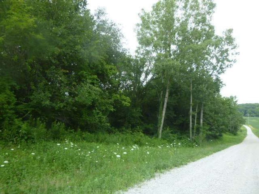 Main Photo