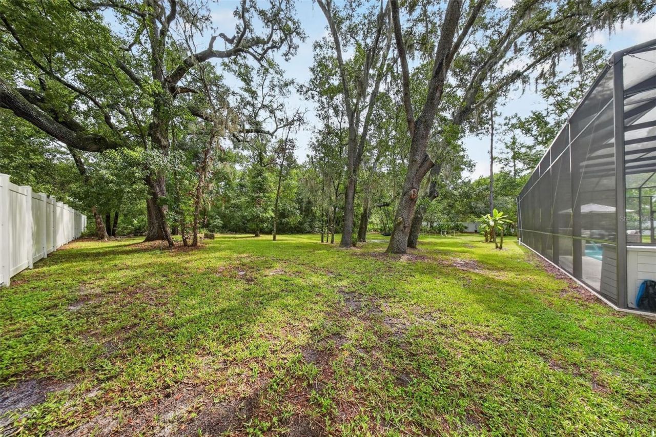 2304 Clement Road, Lutz, FL 33549 Photo