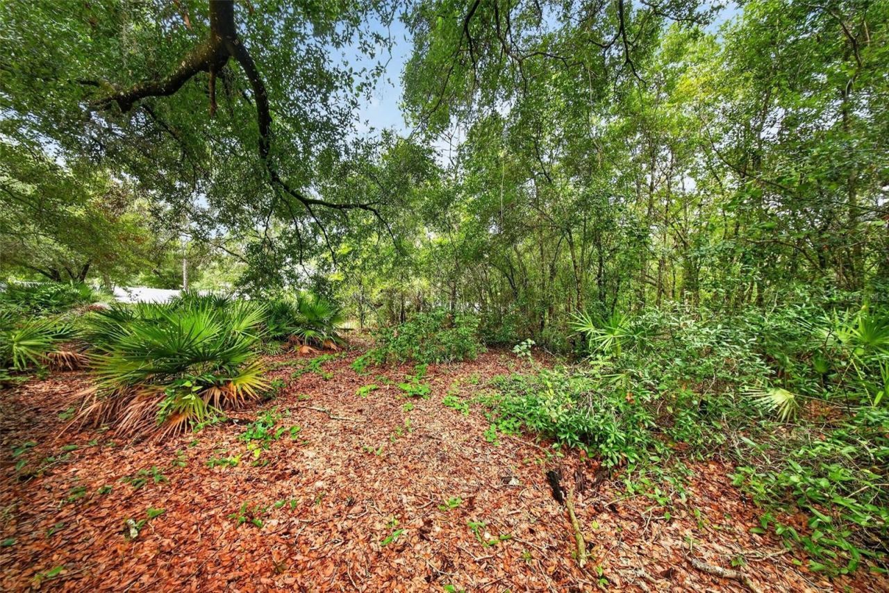 2304 Clement Road, Lutz, FL 33549 Photo