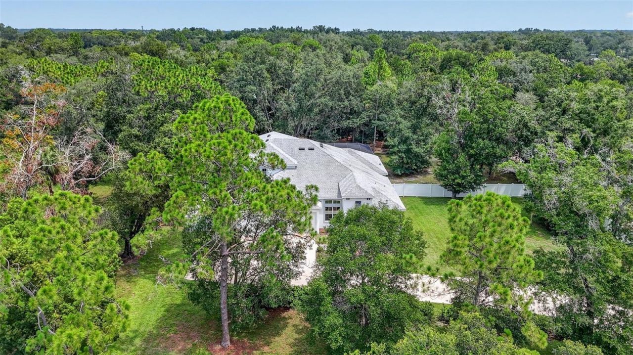 2304 Clement Road, Lutz, FL 33549 Photo