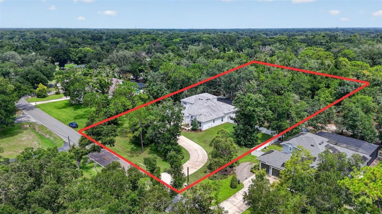 2304 Clement Road, Lutz, FL 33549 Photo