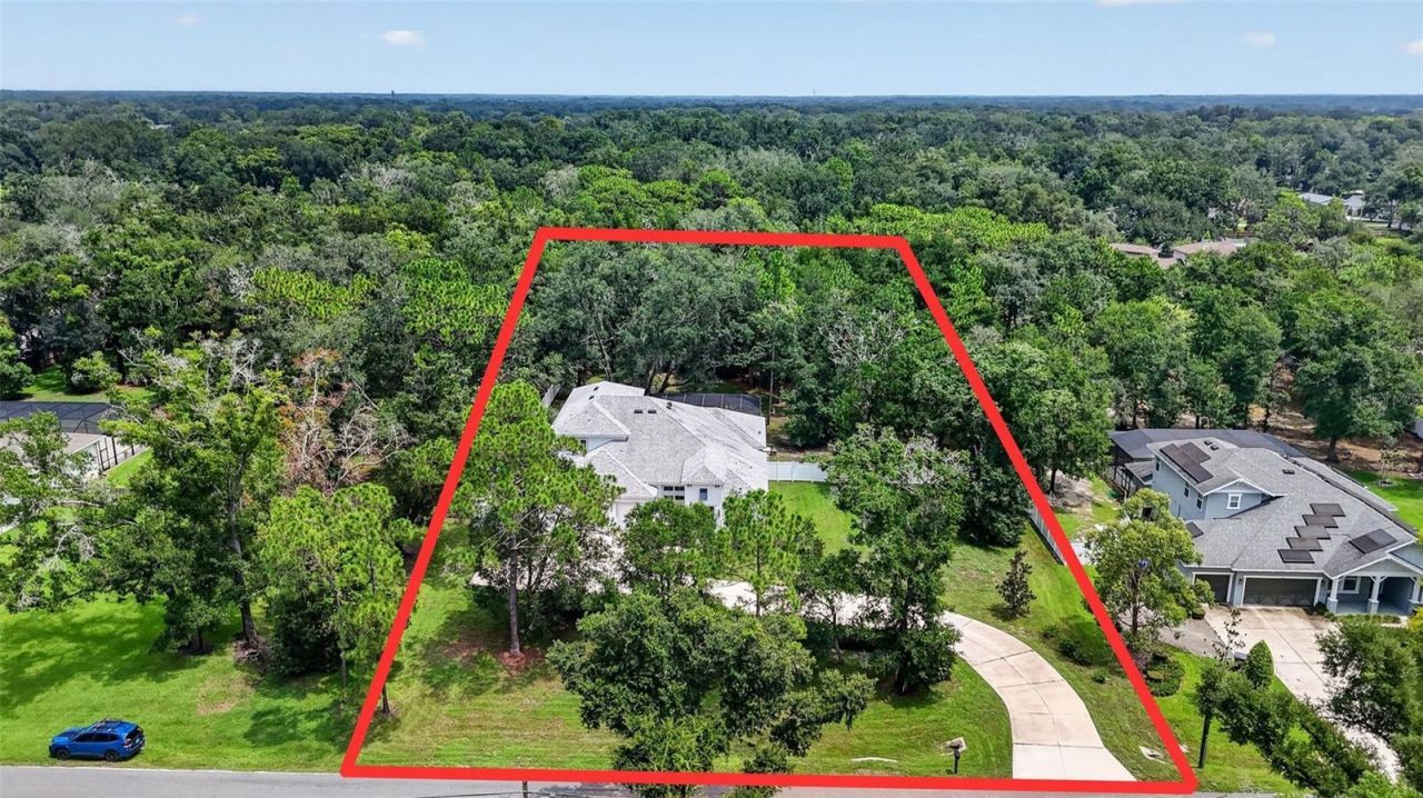 2304 Clement Road, Lutz, FL 33549 Photo