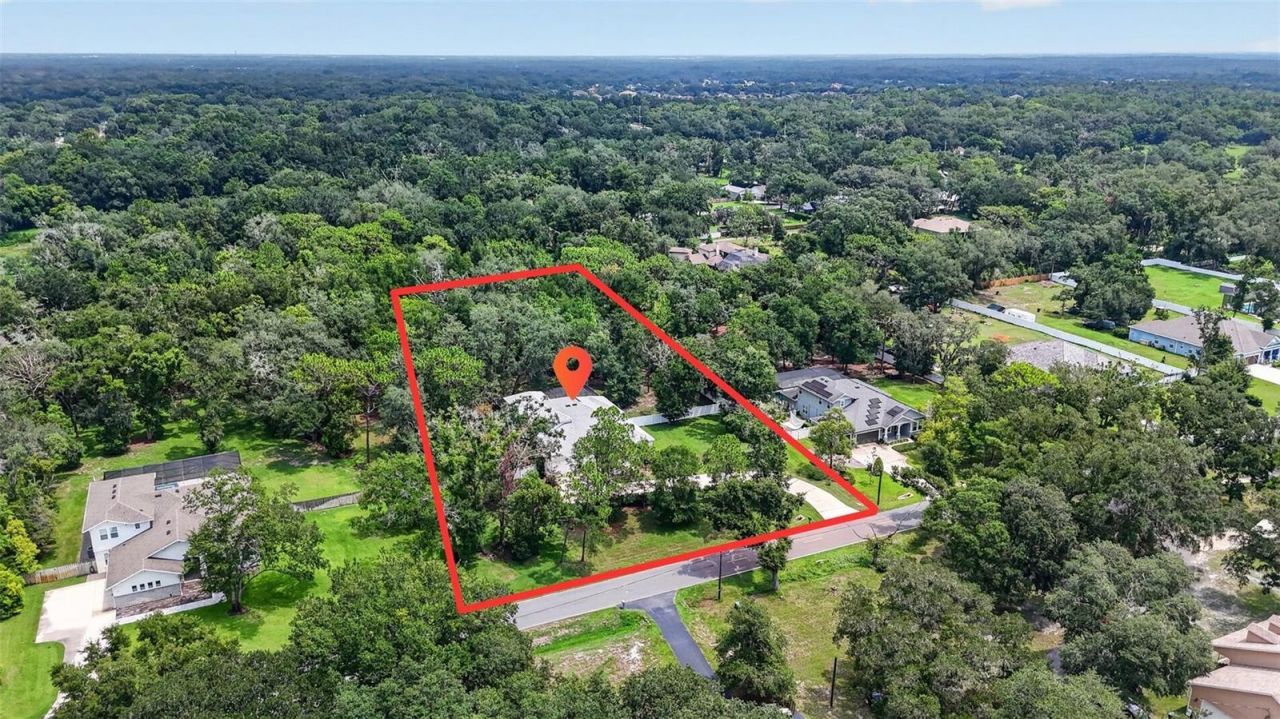 2304 Clement Road, Lutz, FL 33549 Photo