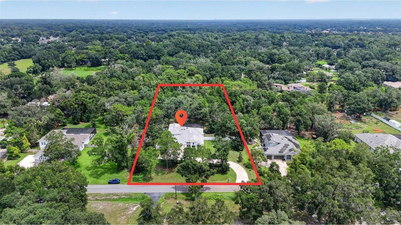 2304 Clement Road, Lutz, FL 33549 Photo