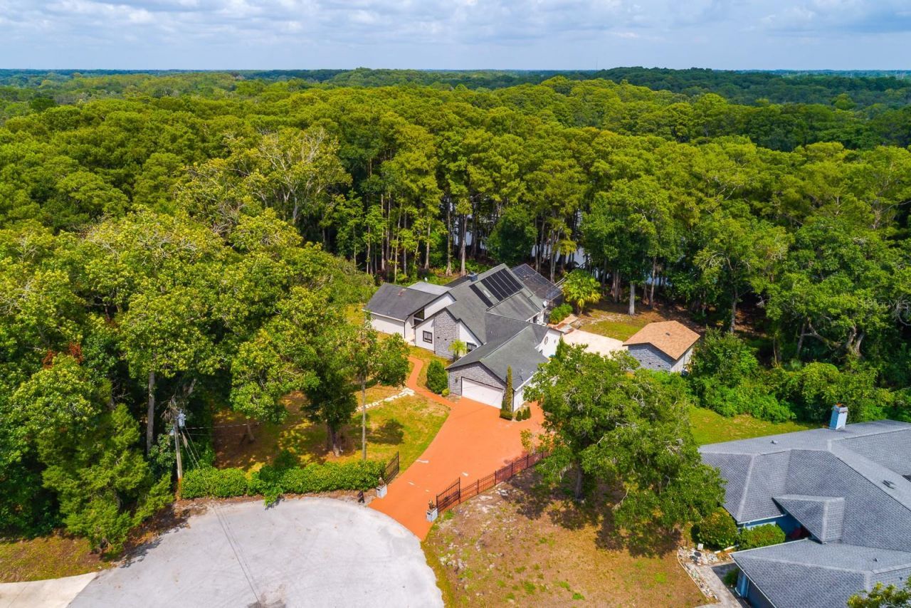 8900 Sharon Drive, New Port Richey, FL 34654 Photo