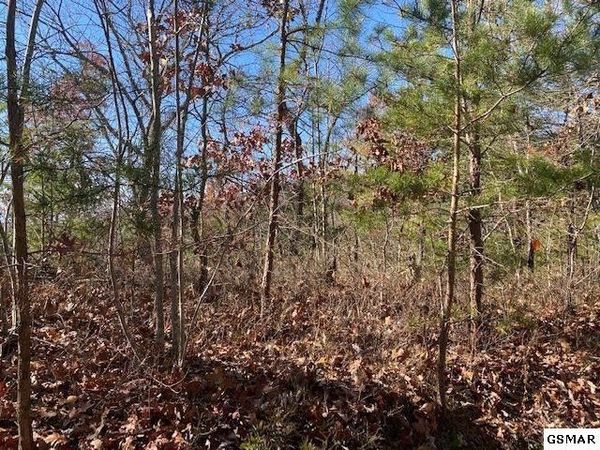 69 Poplar Place , Unit 69, Sevierville, TN 37876