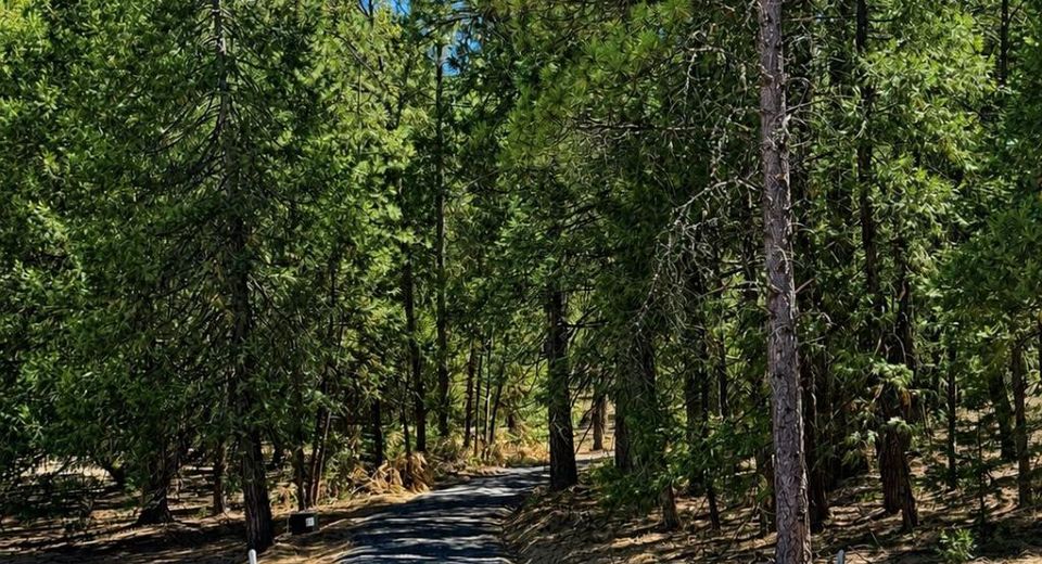 4701 Vogelsang Ln, Placerville, CA 95667 Photo
