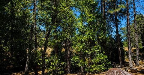 4701 Vogelsang Ln, Placerville, CA 95667 Photo
